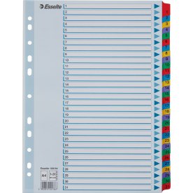 Register Esselte Mylar A4 1-31