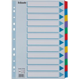 Register Esselte A4 12 flikar
