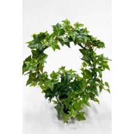 Efeu Natasia blomkrans Ø30 cm