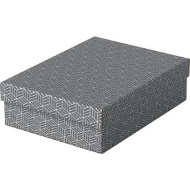 Esselte Home Box | Låg medium | Grå | 3 st.