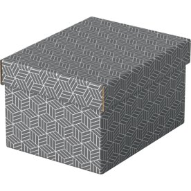 Esselte Home Box | Small | Grå | 3 st.
