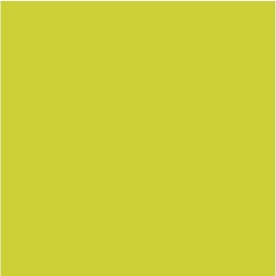 Servett 3-lags 24x24cm kiwi 250/fp