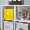 Förvaringslåda Leitz Click & Store Medium Svart