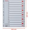 Register Esselte Maxi A4 1-12 Grå