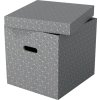 Esselte Home Box | Cube | Grå | 3 st.